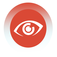 vision1